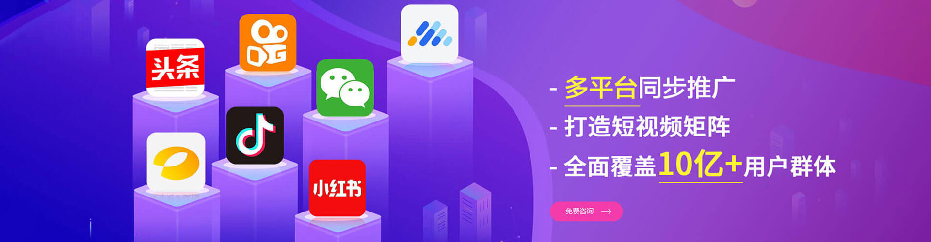 新星sem专员